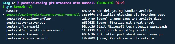 List all git branches with verbose tag in terminal.